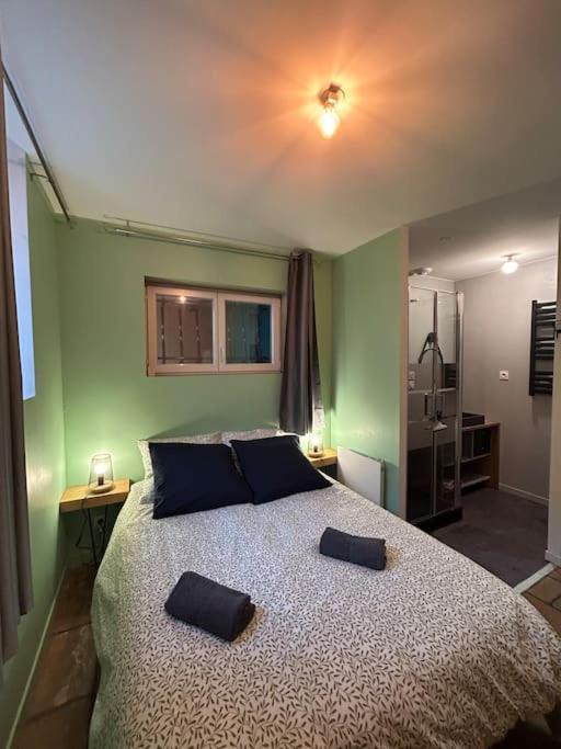 Le Cosy Balat Biel Rdc Jardin Spacieux Grisolles  Dış mekan fotoğraf