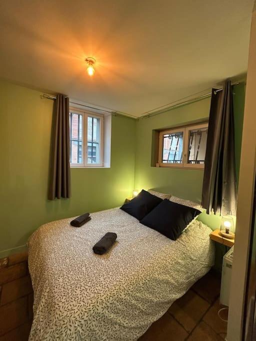 Le Cosy Balat Biel Rdc Jardin Spacieux Grisolles  Dış mekan fotoğraf